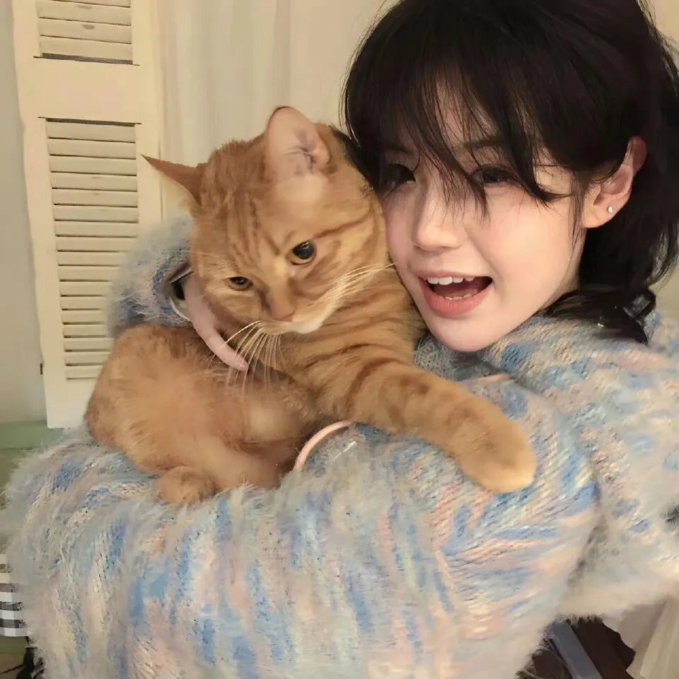 19号消防局第二季