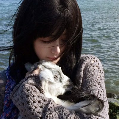 绝望主妇第六季